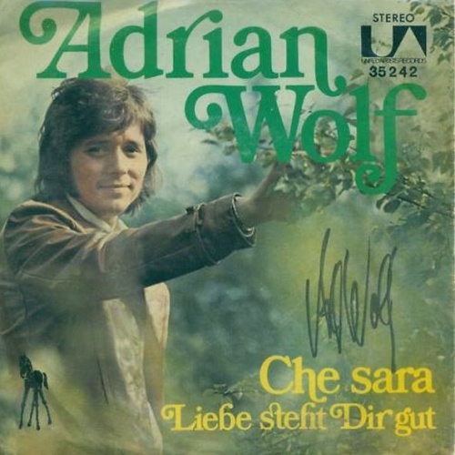 Vinyl / Adrian Wolf - Che Sara