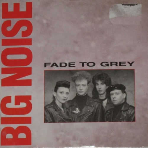 Vinyl / Big Noise (5) - Fade To Grey