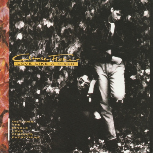 Vinyl / Climie Fisher - Love Like A River