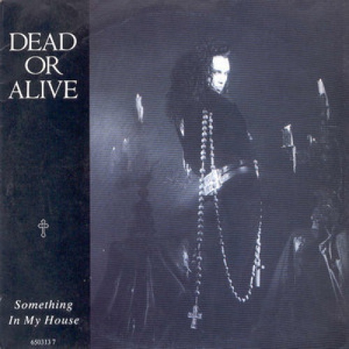 Vinyl / Dead Or Alive - Something In My House