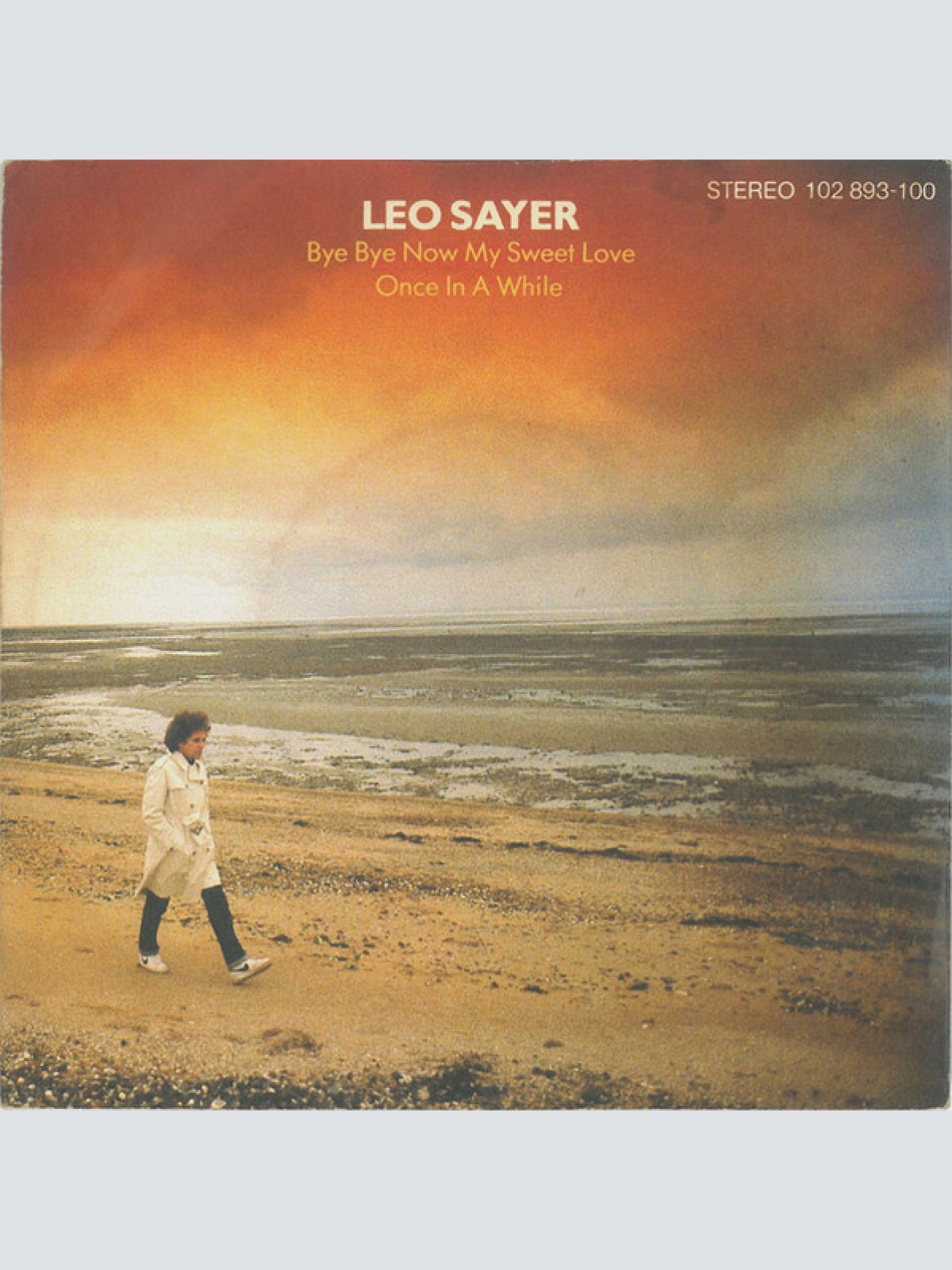 Vinyl / Leo Sayer - Bye Bye Now My Sweet Love