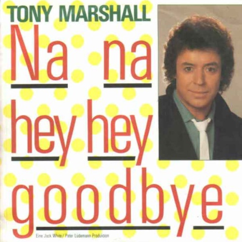 Vinyl / Tony Marshall - Na Na Hey Hey Goodbye