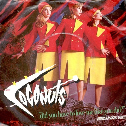 Vinyl / The Coconuts - Did You Have To Love Me Like You Did?