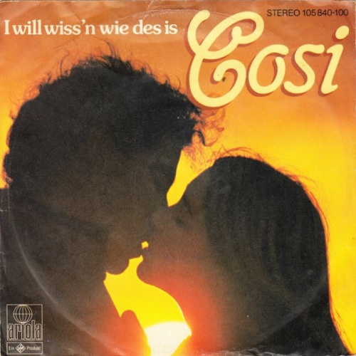 Vinyl / Cosi - I Will Wiss'n Wie Des Is