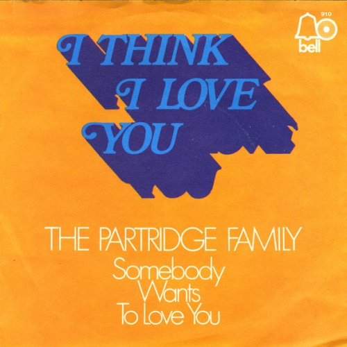 Vinyl / The Partridge Family - I Think I Love You