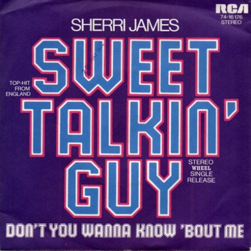 Vinyl / Sherri James - Sweet Talkin' Guy