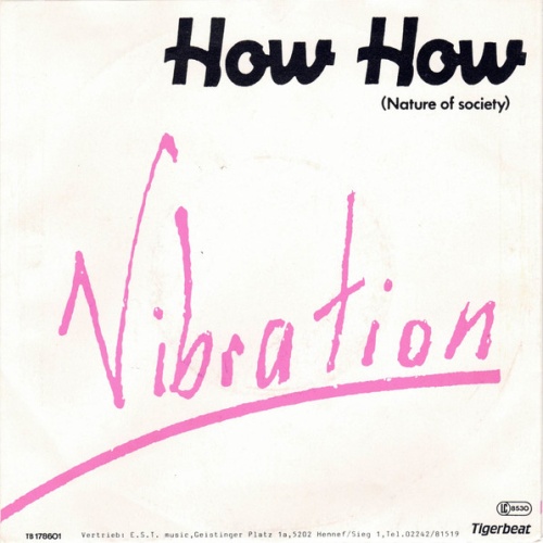 Vinyl / Vibration - How How (Nature Of Society)