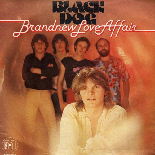 Vinyl / Black Dog - Brand New Love Affair