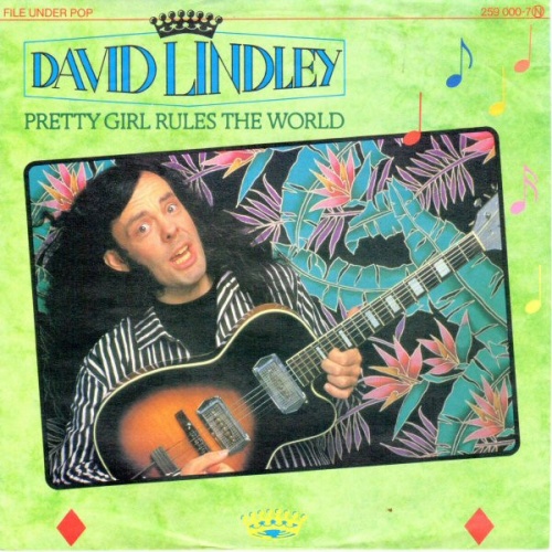 Vinyl / David Lindley - Pretty Girl Rules The World