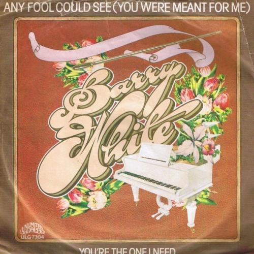 Vinyl / Barry White - Any Fool Could See (You Were Meant For Me)