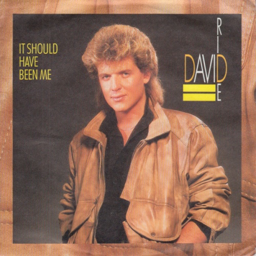 Vinyl / David Ride -    It Should Have Been Me