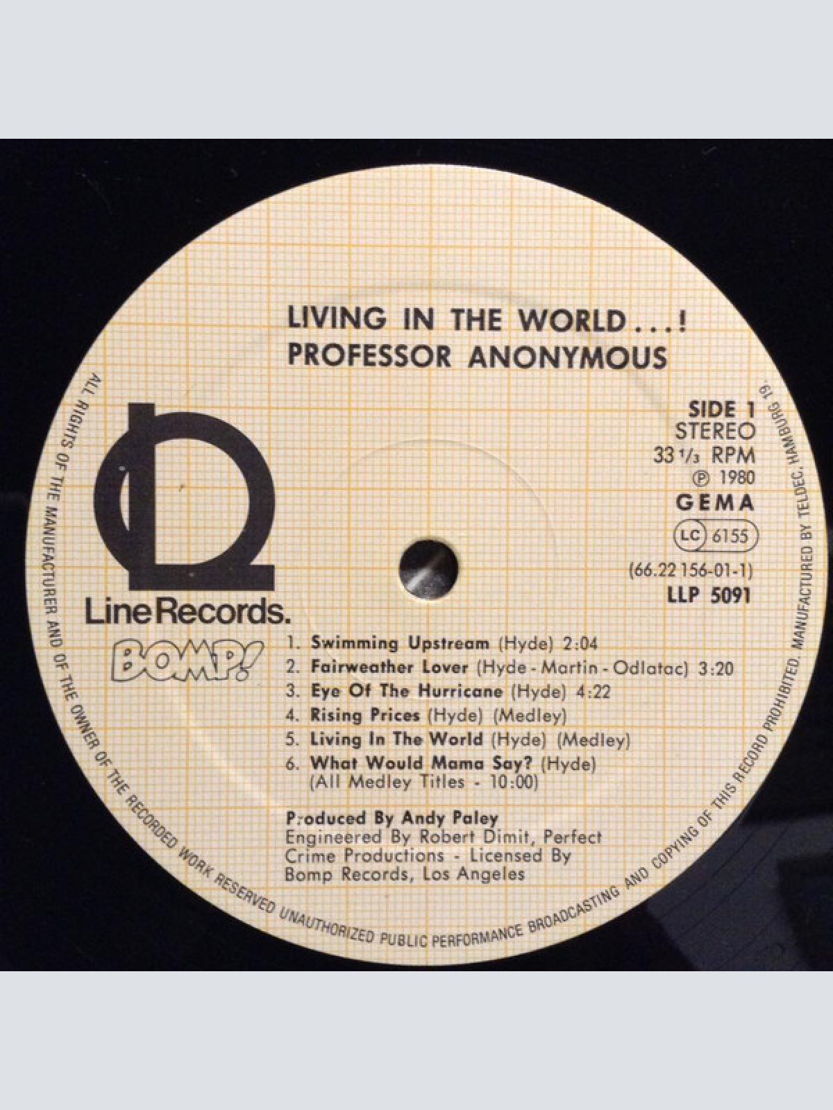 Vinyl / Professor Anonymous - Living In The World