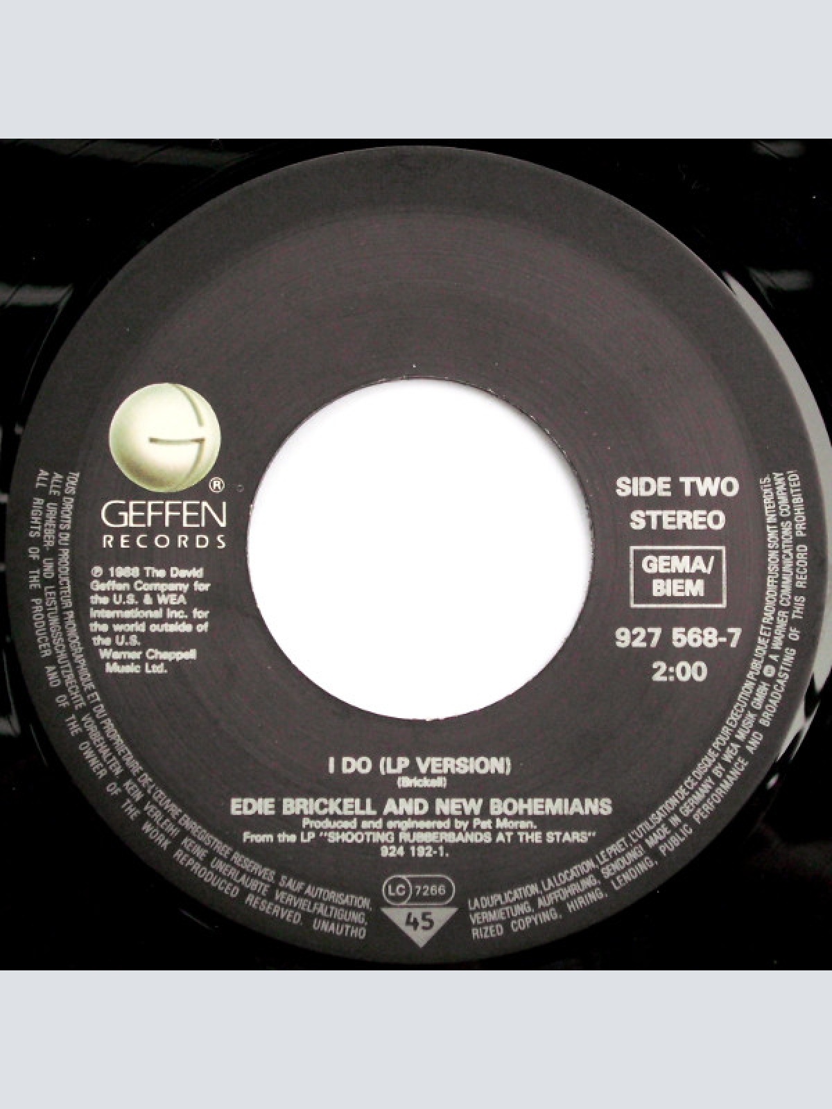 Vinyl / Edie Brickell & New Bohemians - What I Am