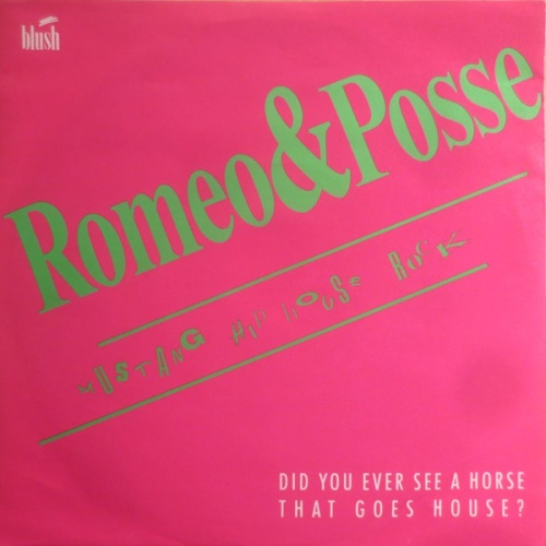 Vinyl / Romeo & Posse - Mustang Hip House Rock