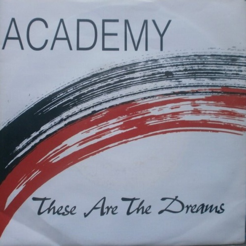 Vinyl / Academy (4) - These Are The Dreams