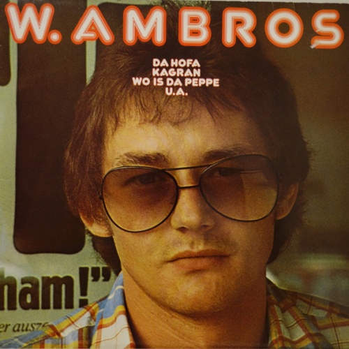 Vinyl / W. Ambros* - Sterbn Tuat Weh