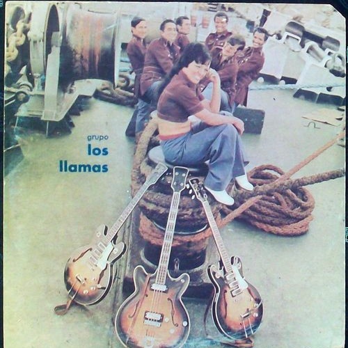 Vinyl / Los Llamas - Grupo Los Llamas