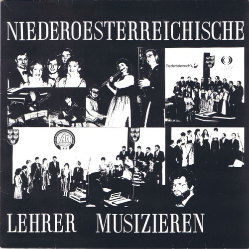 Vinyl / Various - Niederösterreichische Lehrer Musizieren