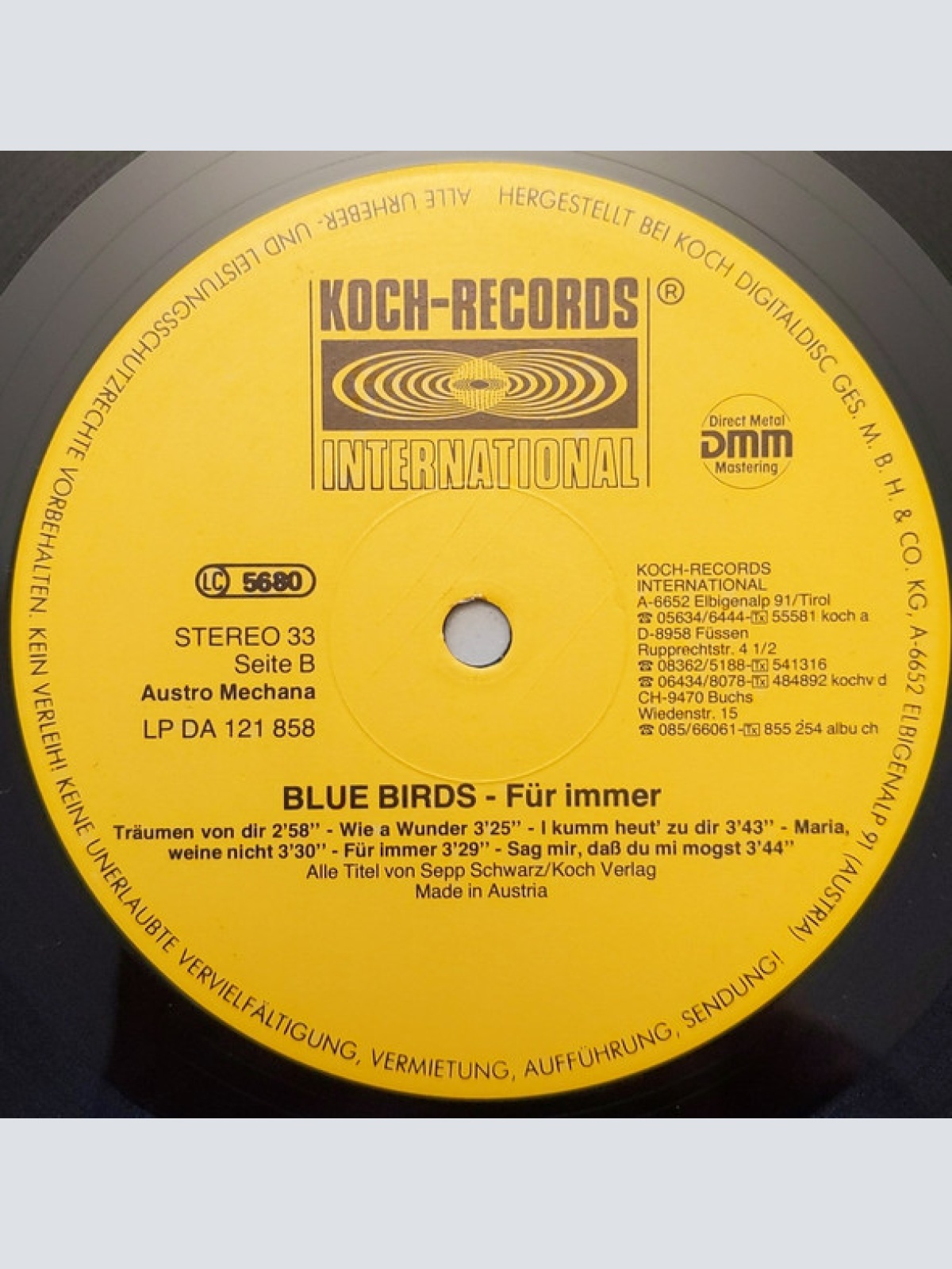 Vinyl / Blue Birds (2) - Für Immer