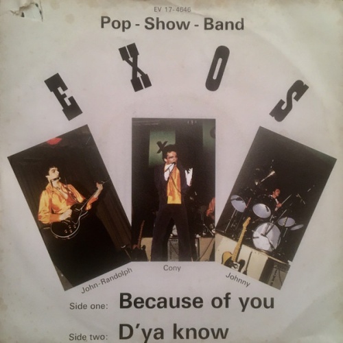 Vinyl / Exos (4) - Because Of You / D’Ya Know