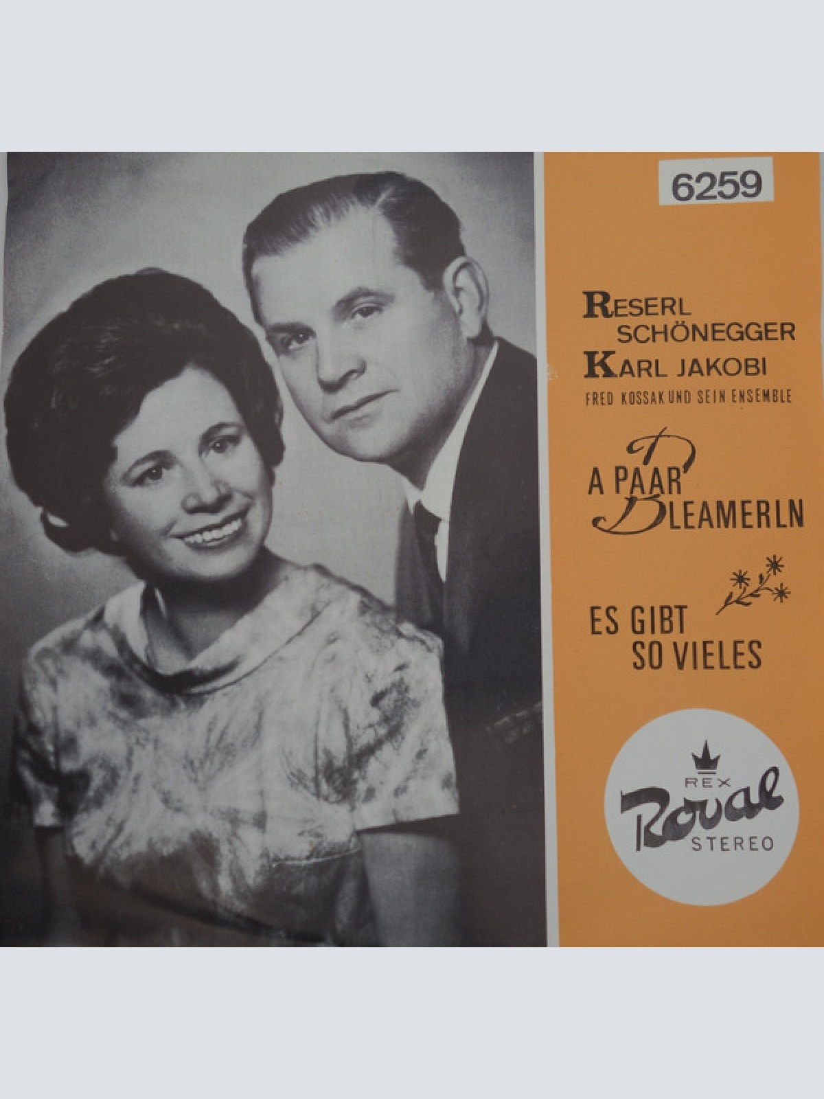 Vinyl / Reserl Schönegger - Karl Jakobi* - A Paar Bleamerln / Es Gibt So Vieles...