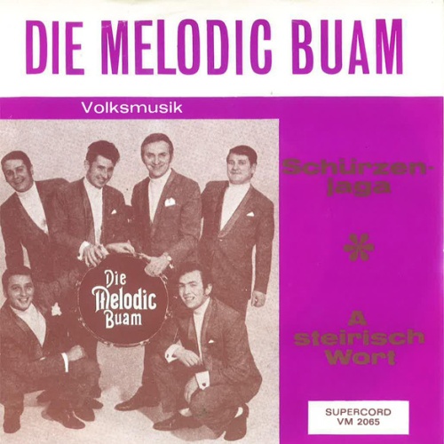 Vinyl / Die Melodic Buam - Schürzenjaga