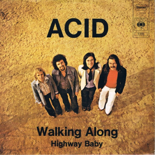 Vinyl / Acid (4) - Walking Along