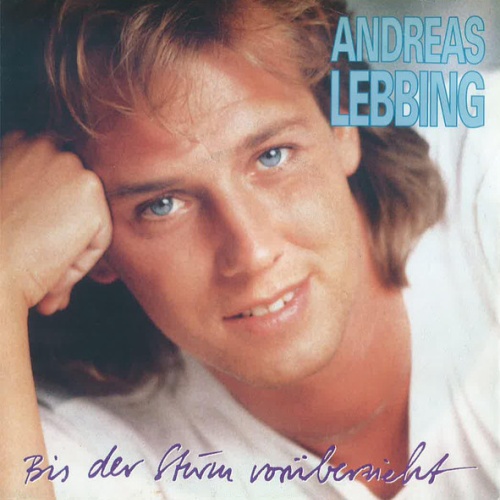 Vinyl / Andreas Lebbing - Bis Der Sturm Vorüberzieht