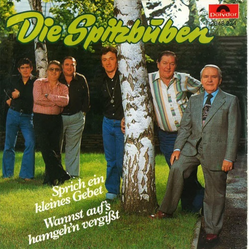 Vinyl / Die Spitzbuben* - Sprich Ein Kleines Gebet