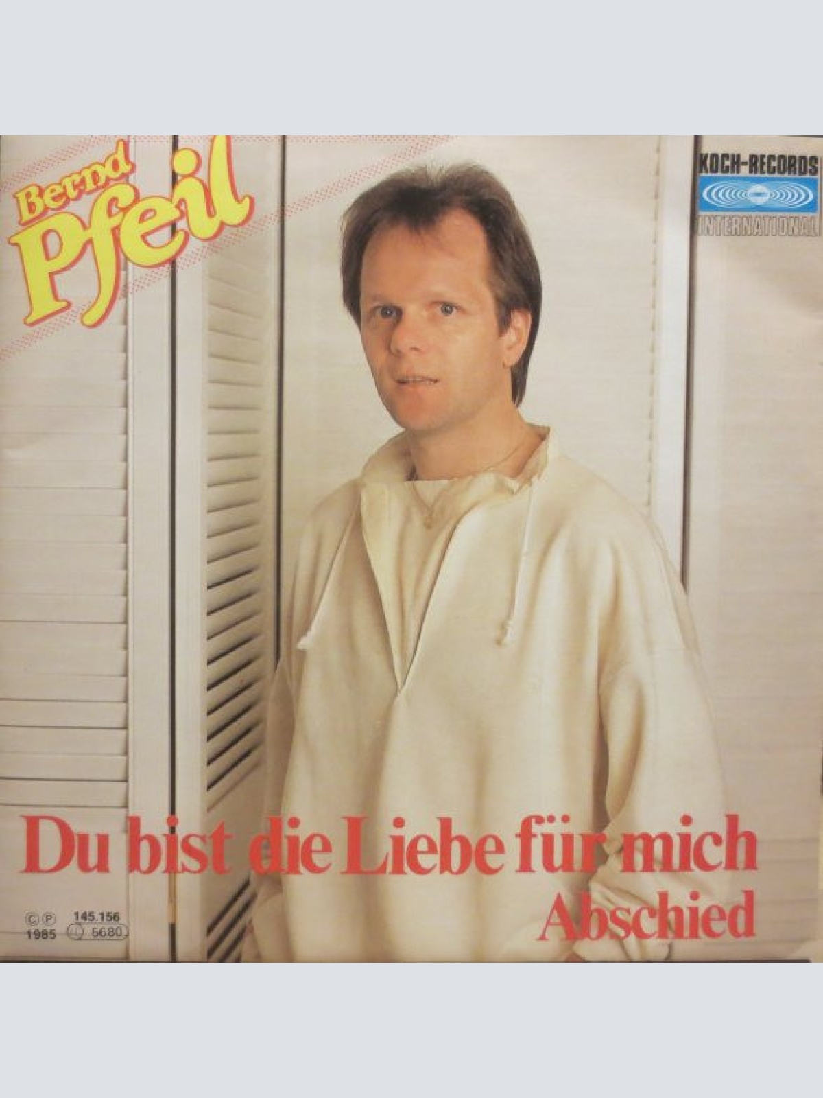Vinyl / Bernd Pfeil - Du Bist Die Liebe Für Mich