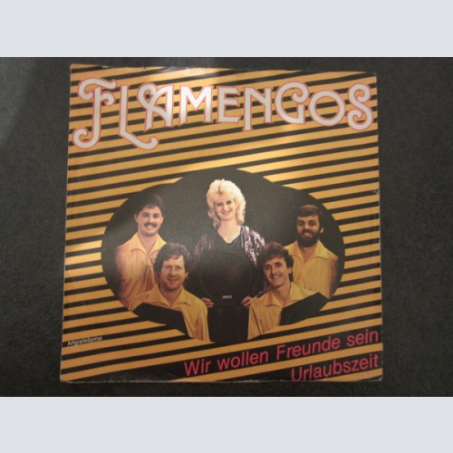 Vinyl / Flamengos - Wir Wollen Freunde Sein