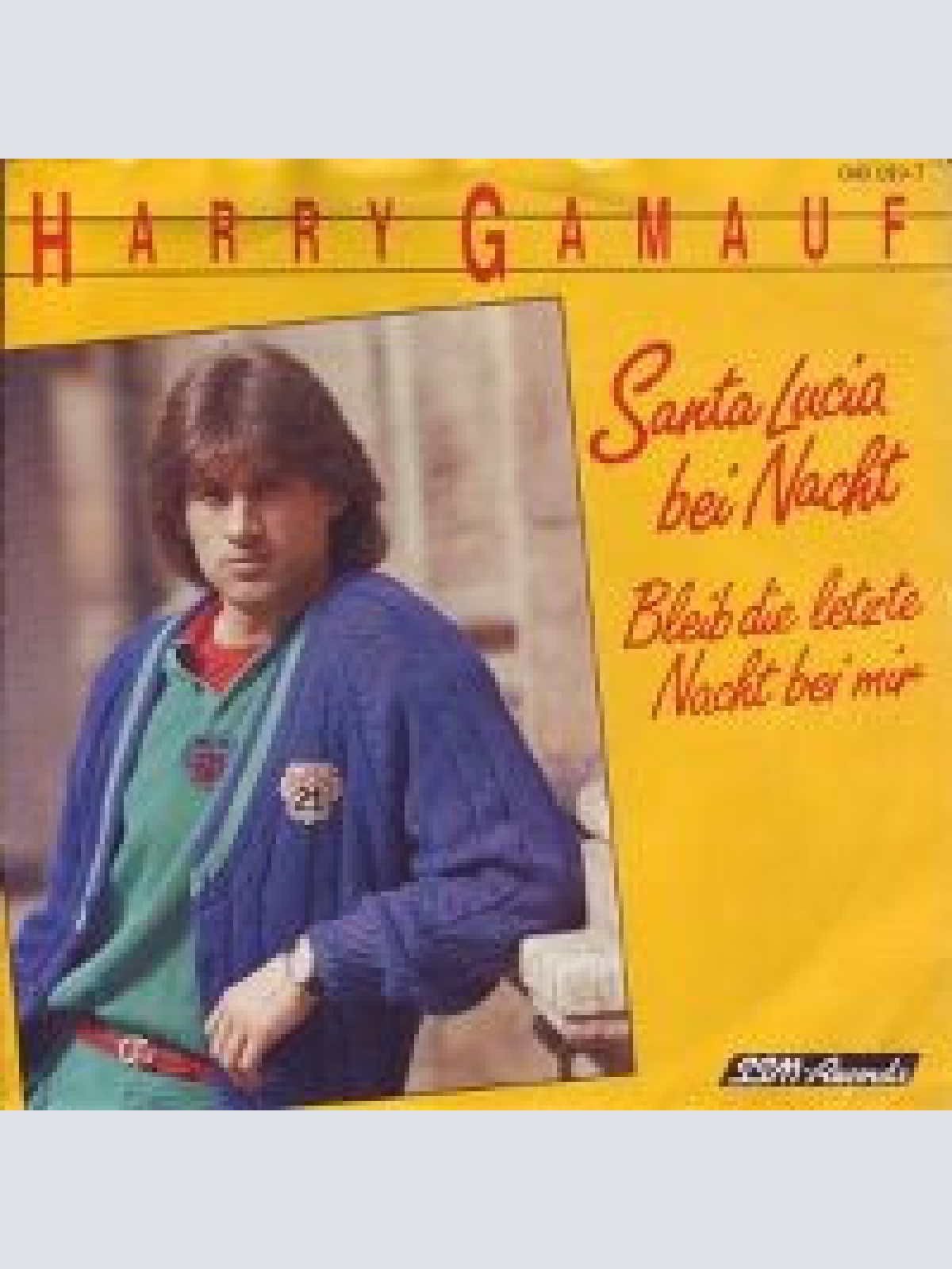 Vinyl / Harry Gamauf - Santa Lucia Bei Nacht