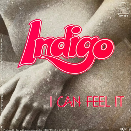Vinyl / Indigo (27) - I Can Feel It