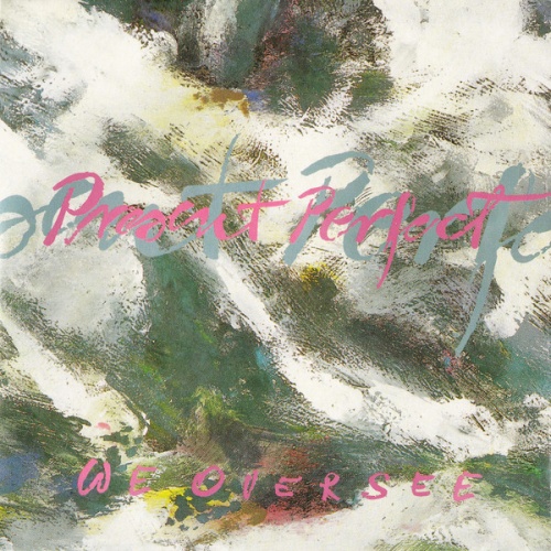 Vinyl / Present Perfect (2) - We Oversee