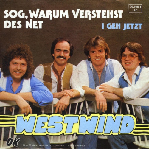 Vinyl / Westwind (7) - Sog, Warum Verstehst Des Net