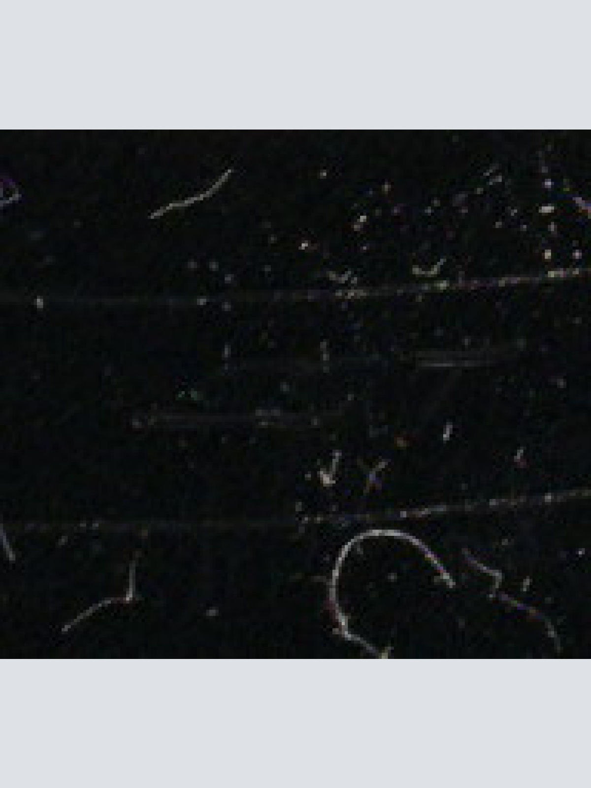 Vinyl / Hans Peter - Hey, Du Da