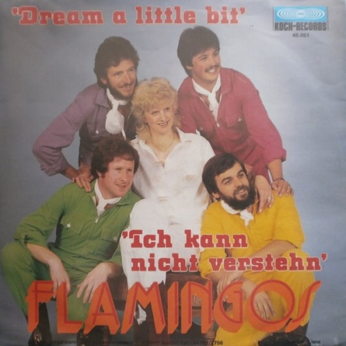 Vinyl / Flamingos (4) - Ich Kann Nicht Verstehn