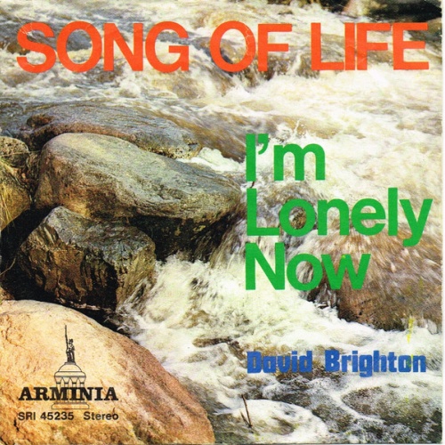 Vinyl / David Brighton - Song Of Life