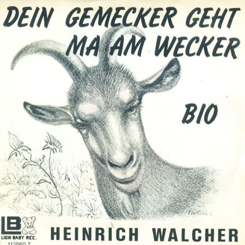 Vinyl / Heinrich Walcher - Dein Gemecker Geht Ma Am Wecker