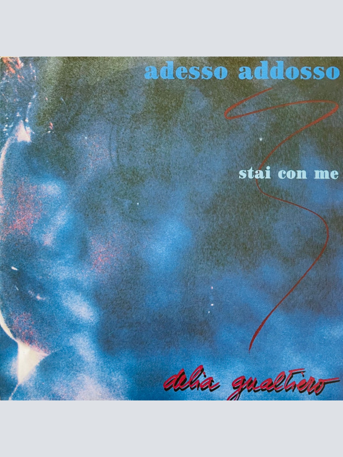 Vinyl / Delia Gualtiero - Adesso Addosso