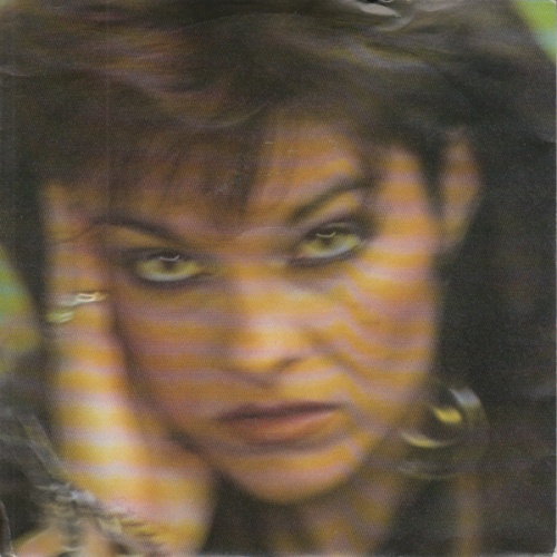 Vinyl / D-Mona - Remember Singapore