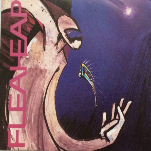 Vinyl / Fleaheap - The Truth