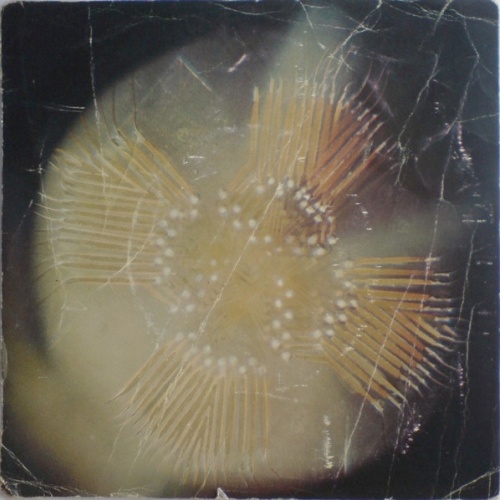 Vinyl / Studio Di Fonologia Musicale Di Firenze - GE-115 - Computer Concerto