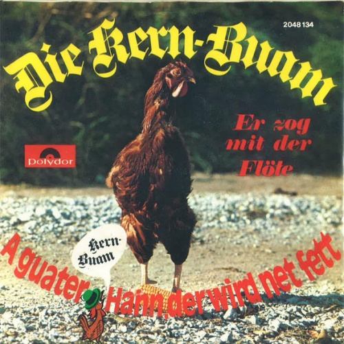 Vinyl / Die Kern Buam - A Guater Hann, Der Wird Net Fett
