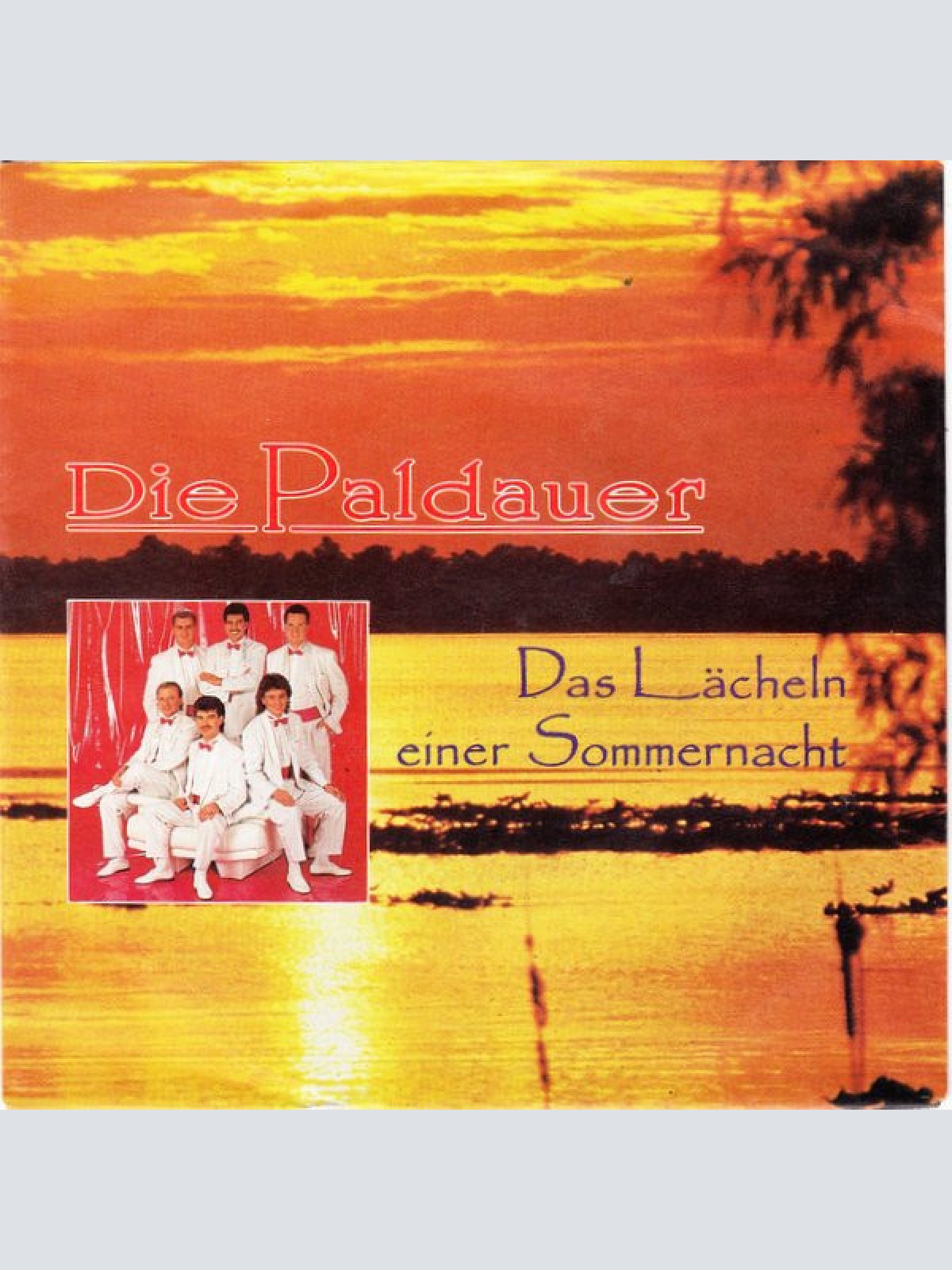 Vinyl / Die Paldauer - Das Lächeln Einer Sommernacht
