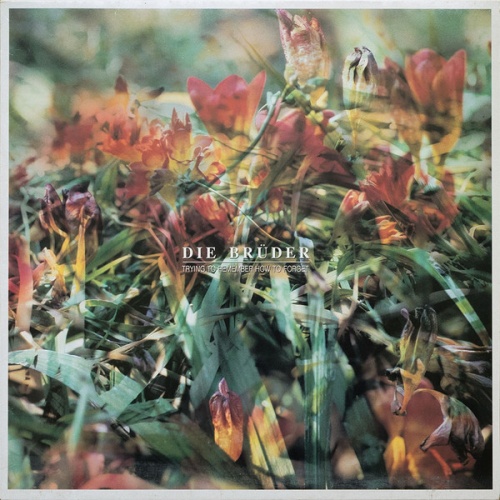 Vinyl / Die Brüder - Trying To Remember How To Forget