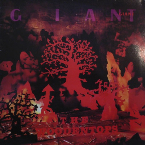 Vinyl / The Woodentops - Giant