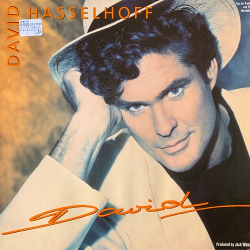 Vinyl / David Hasselhoff - David
