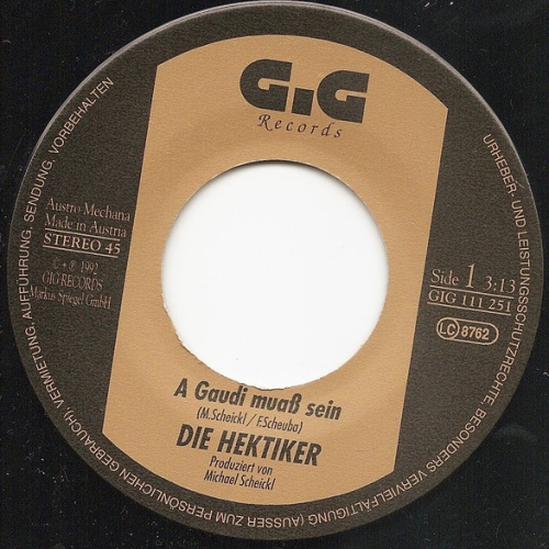 Vinyl / Die Hektiker - A Gaudi Muaß Sein / In Der Buchhandlung