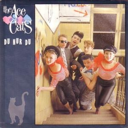 Vinyl / The Ace Cats - Du Nur Du